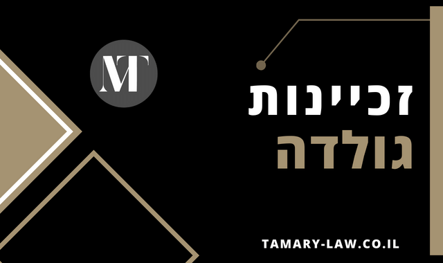 זכיינות גולדה