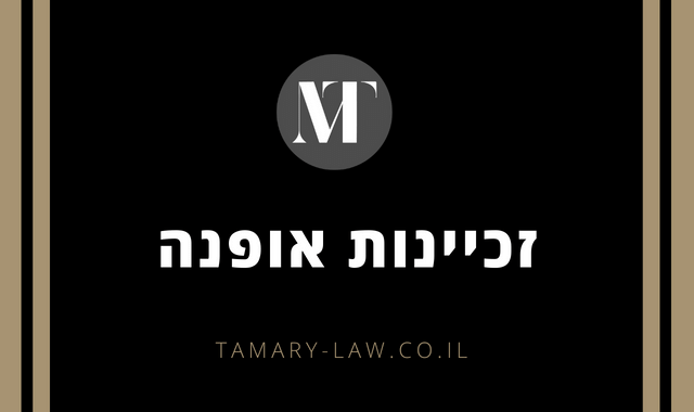 זכיינות אופנה