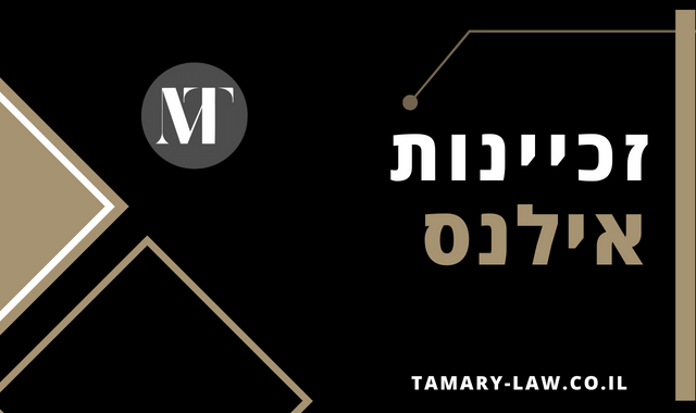 זכיינות אילנס