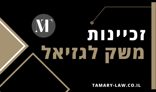 זכיינות משק לגזיאל