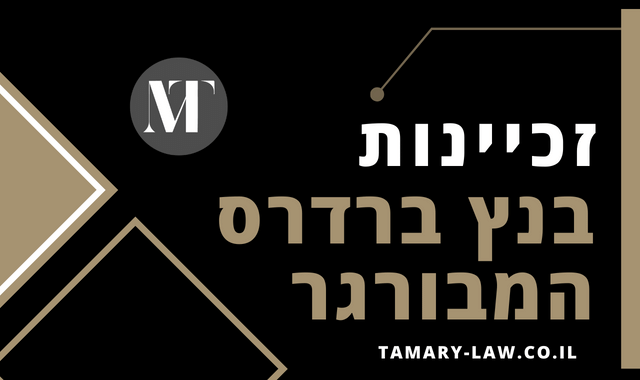 זכיינות בנץ ברדרס המבורגר