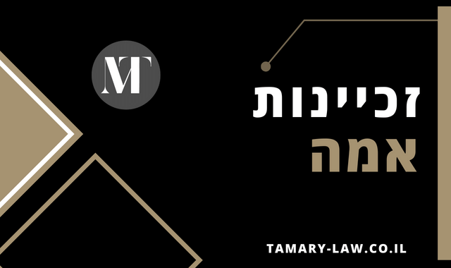 זכיינות אמה