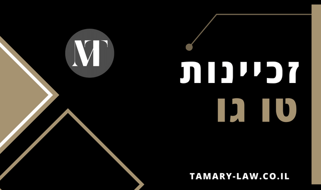 זכיינות טו גו