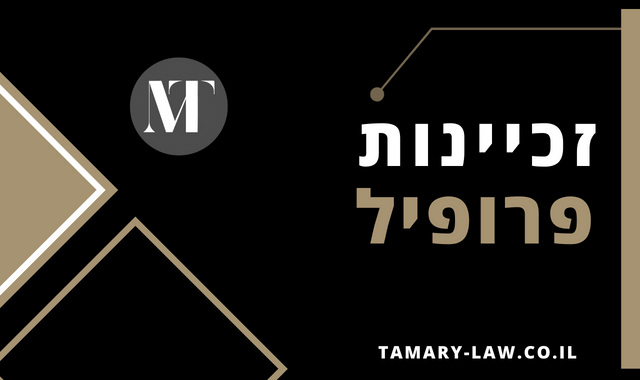 זכיינות פרופיל