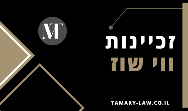 זכיינות ווי שוז