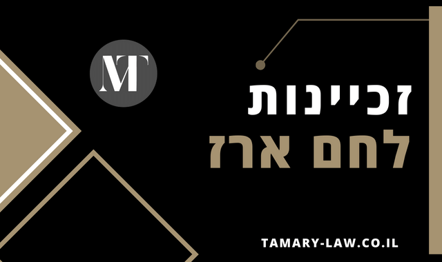 זכיינות לחם ארז