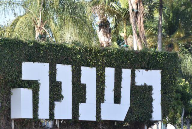 רעננה